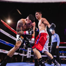 Catch Every Punch Online with Reddit Boxing Streams