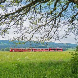 Jura hike, law, train — Discover Hidden Insurance Coverage Through Efficient Policy Limits Search