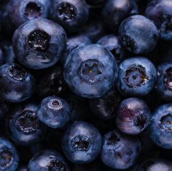 Blueberries, fruits, harvest — Exploring the Leadership and Surgical Expertise of Dr. Steven Muscoreil