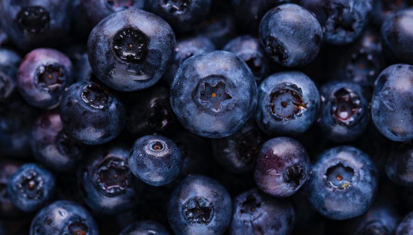 Blueberries, fruits, harvest — Exploring the Leadership and Surgical Expertise of Dr. Steven Muscoreil