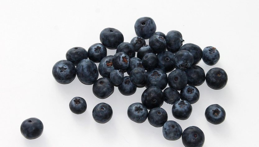 Blueberry, fruit, food — Secure TRT Access Without Hassle or Delays