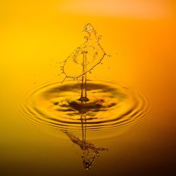 Drops, water, waterdrop — The Unique Benefits of Toronto Escort Services